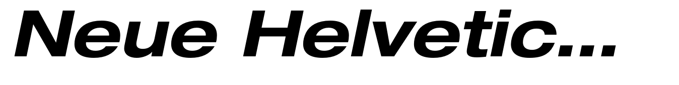Neue Helvetica Paneuropean 73 Extended Bold Oblique